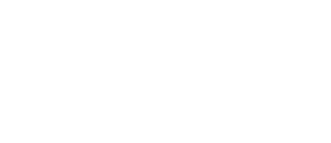 Ariel
